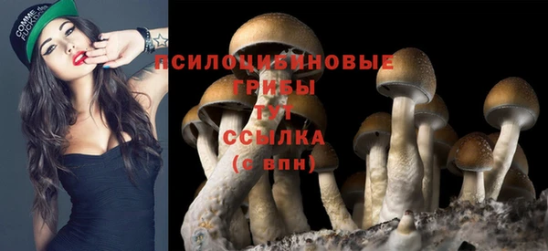 а пвп мука Балабаново