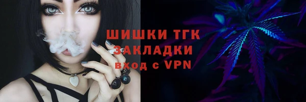 гашик Белокуриха